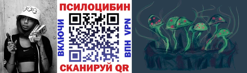 Галлюциногенные грибы Cubensis  Гудермес 