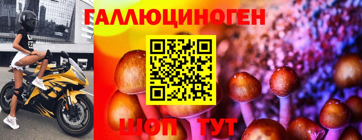 Псилоцибиновые грибы MAGIC MUSHROOMS Гудермес