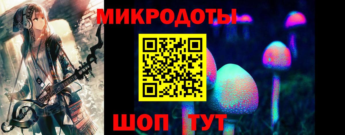 Псилоцибиновые грибы мицелий  Вход с VPN  Псилоцибиновые грибы Cubensis  Гудермес 