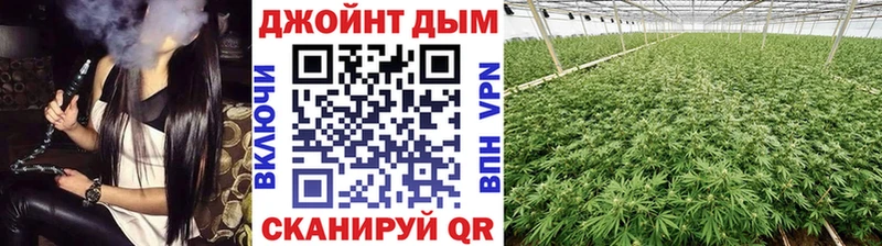 Бошки марихуана LSD WEED  как найти закладки  Гудермес 